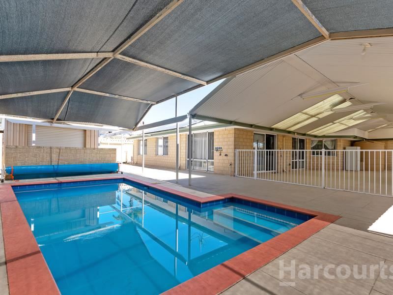 37 Backshall Place, Wanneroo