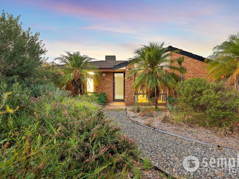 271 Yangebup Road, Yangebup WA 6164