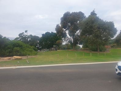 8A Toona Gardens, Edgewater WA 6027