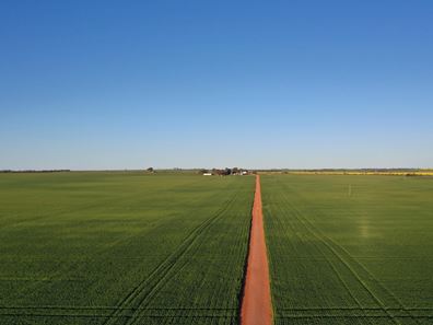 Midlands Road, Marchagee WA 6515