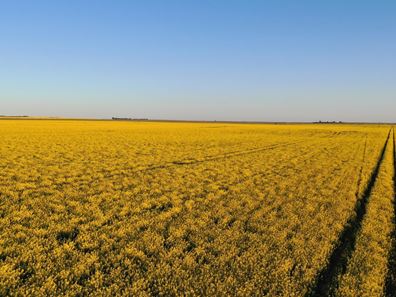 Midlands Road, Marchagee WA 6515