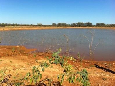 Hy Brazil, Mount Magnet WA 6638