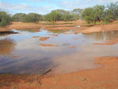 Hy Brazil, Mount Magnet WA 6638