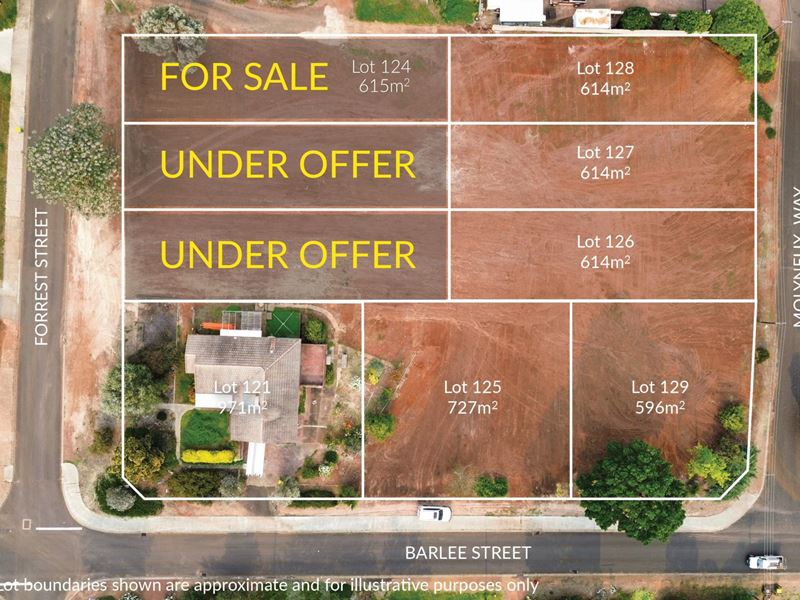 Lot 124, 22 Forrest St, Bridgetown WA 6255