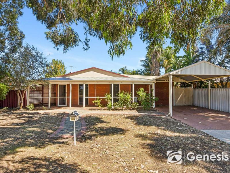 66 Patterson Drive, Middle Swan