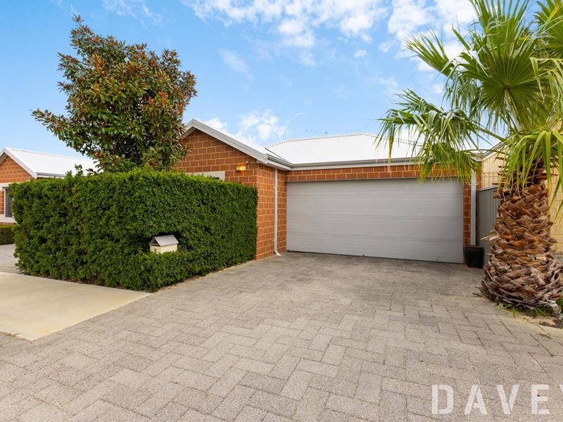 5 Port Link, Pearsall