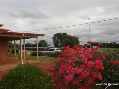 39 Forward Street, Goomalling WA 6460