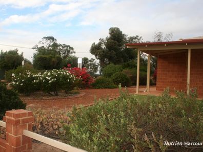 39 Forward Street, Goomalling WA 6460