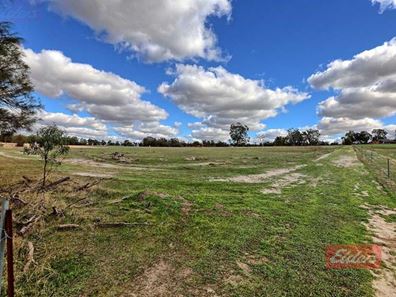 Lot 176,  Narrakine Road, Narrogin WA 6312