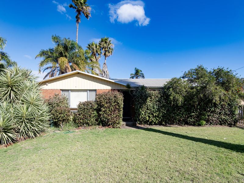 3 Hallet Place, Bluff Point WA 6530