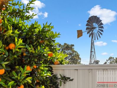 16 Crystal Place, Wattle Grove WA 6107