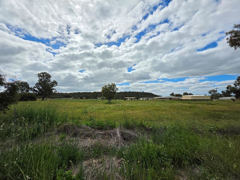 9 Linthorne Street , Mingenew WA 6522