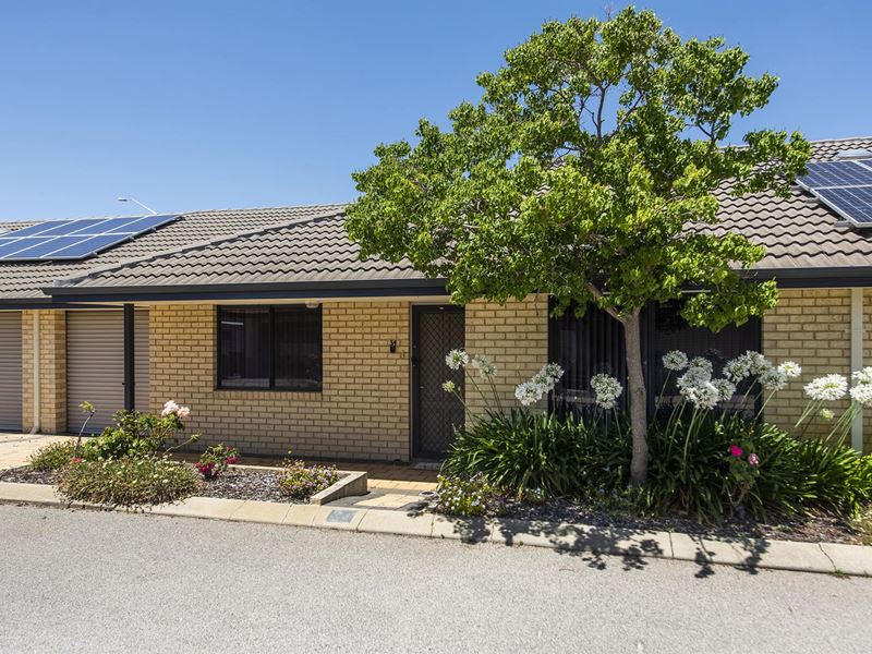 34/27 Pearson Drive, Success