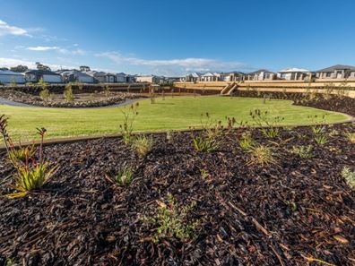 Lot 528 Delphinium Way, Beeliar WA 6164