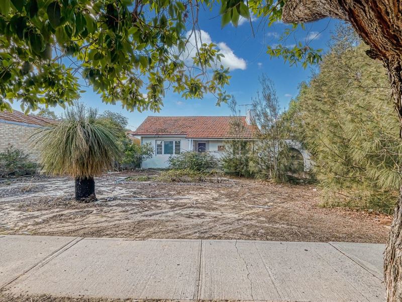 3 Beveridge Street, Bentley