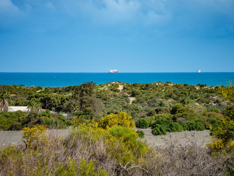 295 Alexander Drive, Glenfield