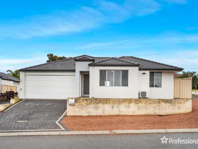 1B Cetara Chase, Sinagra