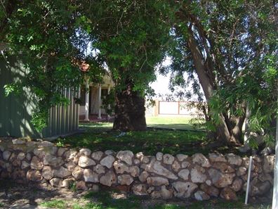 18 Bungaru Road, Dongara WA 6525