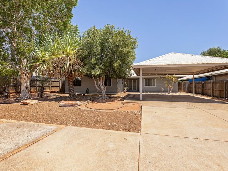 8 Livistona Street, Derby