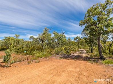 90 Blue Squill Drive, Lower Chittering WA 6084