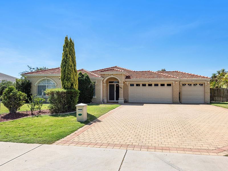 381 Vines Avenue, The Vines