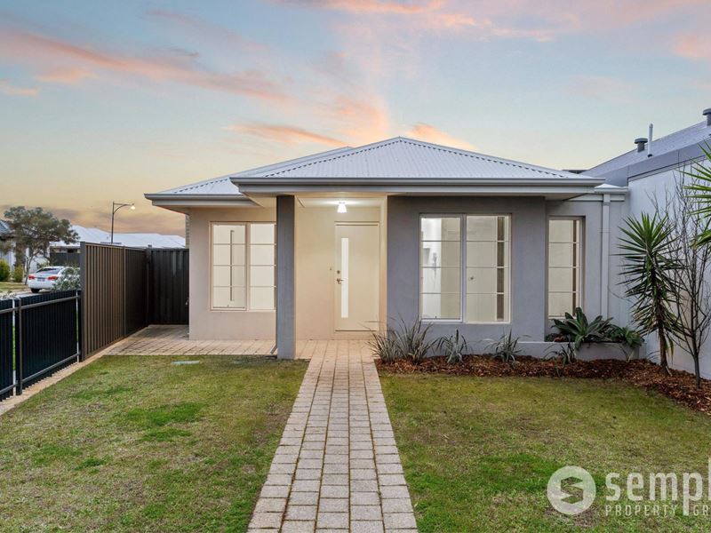 41 Wattleseed Avenue, Treeby WA 6164