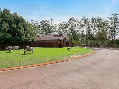 276 Kargotich Road, Oakford WA 6121