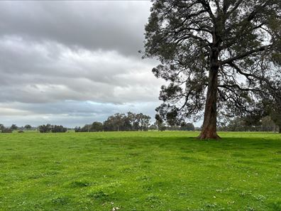 Lot 615,  McCarthy Road, Cookernup WA 6219