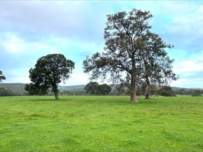 Lot 615,  McCarthy Road, Cookernup WA 6219