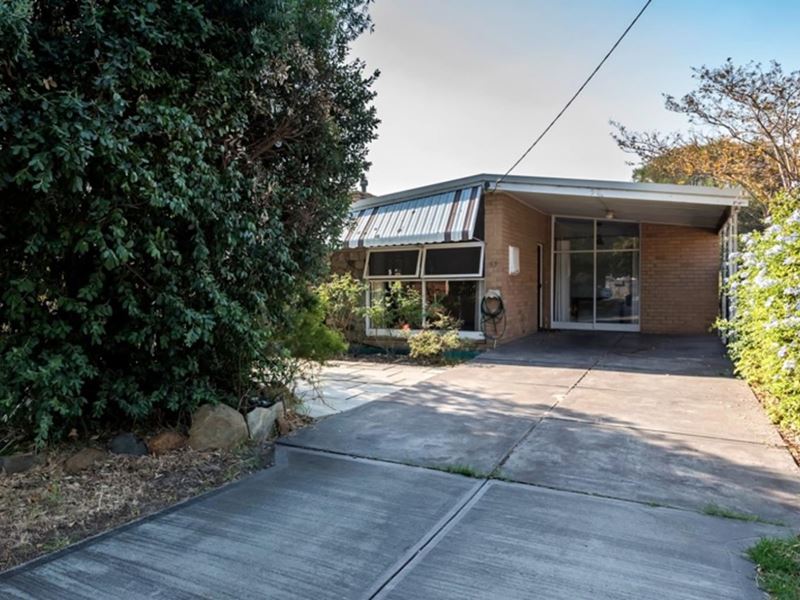 53 Central Avenue, Ascot WA 6104