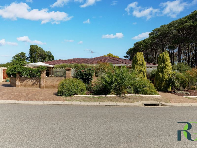 46 Williamson Road, Kardinya
