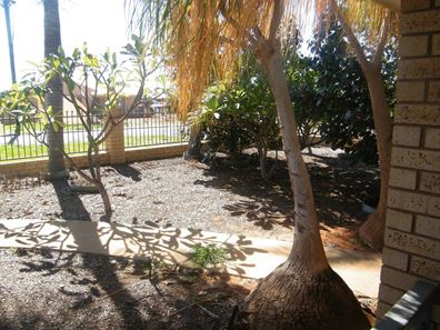 24 Fleming Street, East Carnarvon WA 6701