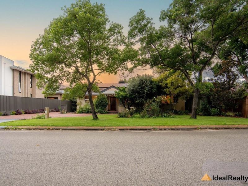 13 Massey Street, Rossmoyne