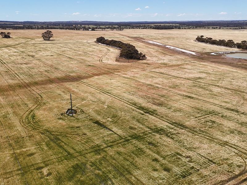 Kolonga Downs 1 McAuliffe Road, Katanning