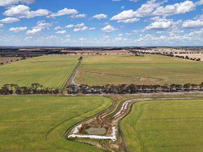 Kolonga Downs 175 McAuliffe Road, Katanning WA 6317