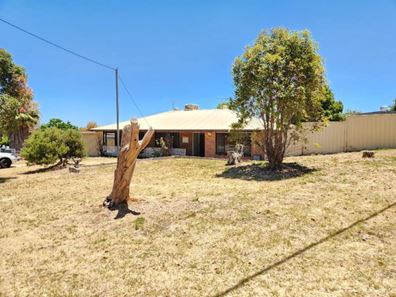 22 Steward Way, Orelia WA 6167