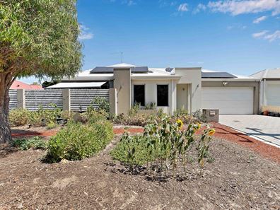 19A Windell Street, Innaloo WA 6018