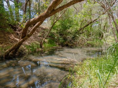 2 Roy Street, Harvey WA 6220
