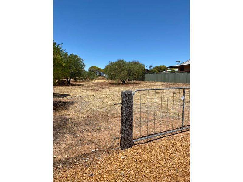 8 Forbes Street, York WA 6302