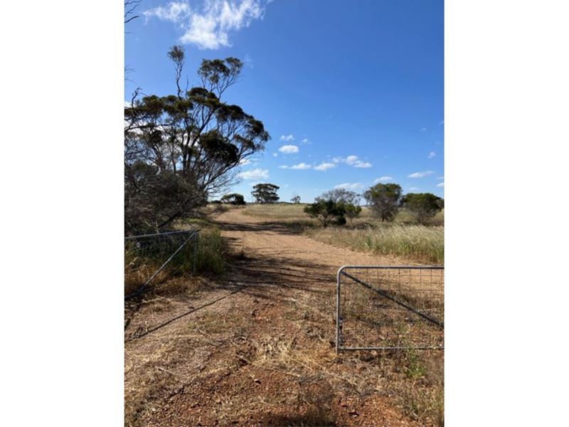 Lot 252,  Morgans Street, Ravensthorpe