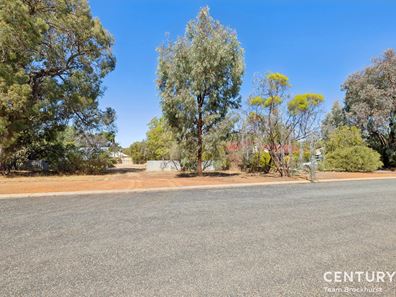 195 Narrakine Road, Narrogin WA 6312