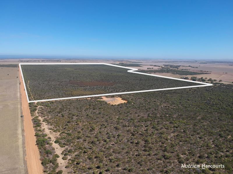 Lot 2691 Fraser Road, Walkaway WA 6528