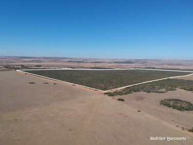Lot 2691 Fraser Road, Walkaway WA 6528