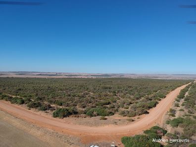 Lot 2691 Fraser Road, Walkaway WA 6528
