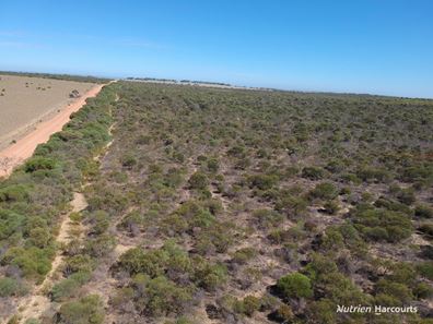 Lot 2691 Fraser Road, Walkaway WA 6528