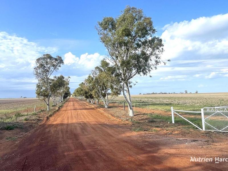240 Corrigin-Narembeen Road, Corrigin WA 6375