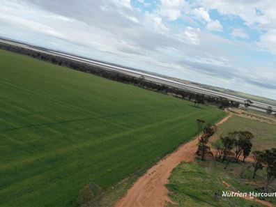 240 Corrigin-Narembeen Road, Corrigin WA 6375