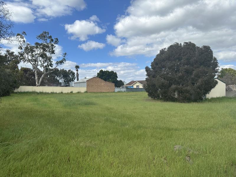 102 Avon Street, Katanning WA 6317