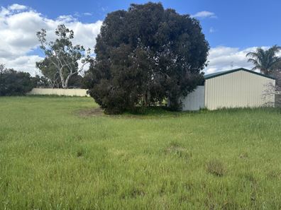 102 Avon Street, Katanning WA 6317