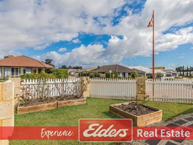 8 Pinto Avenue, Baldivis WA 6171